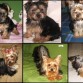 Maya desde que tuvo 2 meses